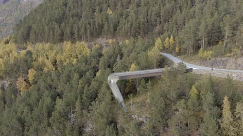 A Lookout Point in Norway Surrounded by Lush Forests and Huge Fjords