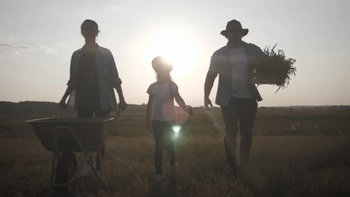 Young Family Having Fun Outdoors in Their Farm. Gardener Woman Pushing Wheelbarrow with Vegetables