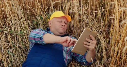 Farmer Uses Tablet in Golden Wheat Field