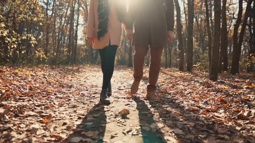 Ruhiger Spaziergang in einem Wald im Herbst.