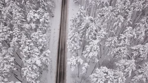 Aerial View of Snowy Forest with a Road. Captured From Above with a Drone.