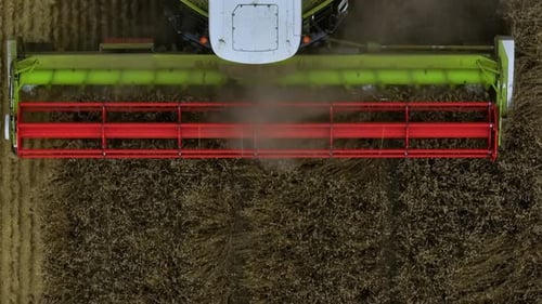 Aerial View of Combine Harvesting Wheat Crop