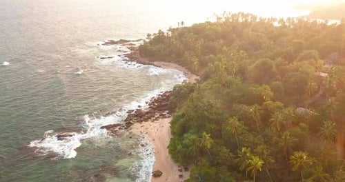 Meereswellen bei Sonnenuntergang. Sri Lanka. Wunderschöner tropischer Strand mit Palmen
