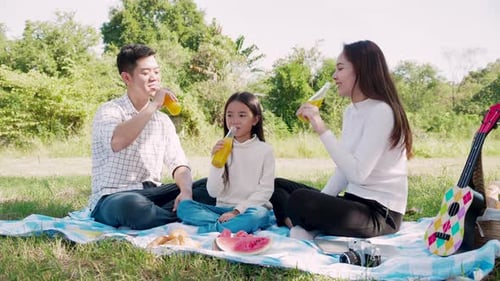 Family Having Picnic Outdoors on Summer Day