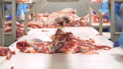Meat Conveyor Belt in Bright Industrial Workplace