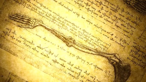 Anatomie-Kunst