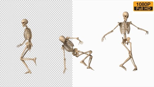 Skeleton Street Dance