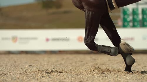 Horse legs running in the sand, Ultra Slow Motion