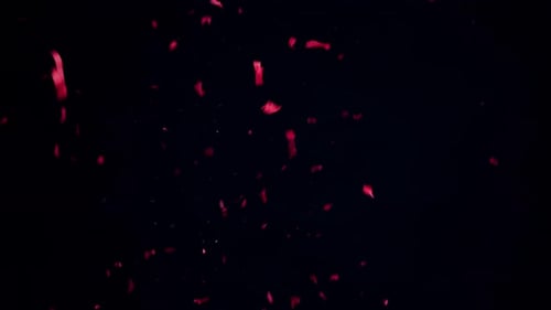 Confetti Firecracker on Black Background