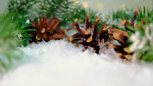 Pinecones and Evergreen Branches Covered in Snow