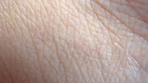 Human Skin Macro Background