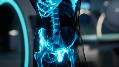 Human Skeleton Bones Scan Exam in Lab