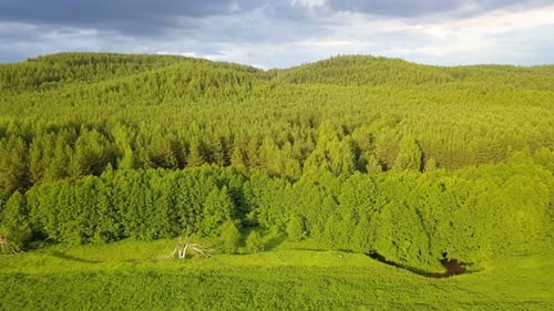 Natur