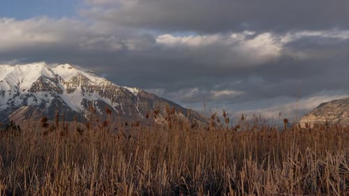 Time-lapsus de nuages au-dessus des montagnes enneigées et des champs de tamaris