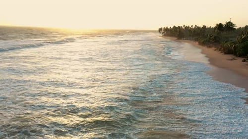 Wellen am Strand bei Sonnenuntergang, Palmen
