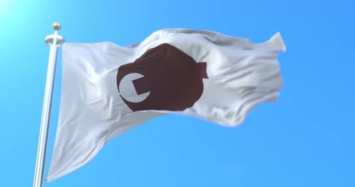 Realistic Waving Flag with Crescent Moon Reveal