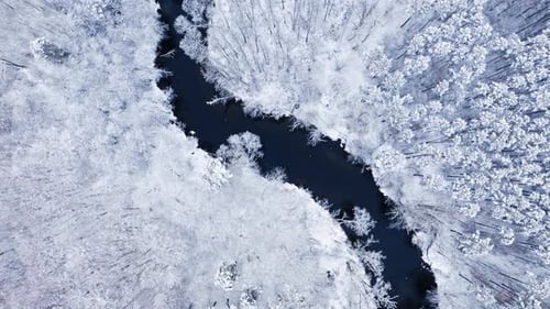 Snowy forest and winter curvy river. Aerial view of winter