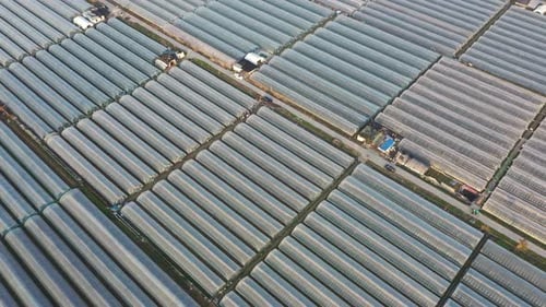 Aerial View of Vast Greenhouse Farm Landscape