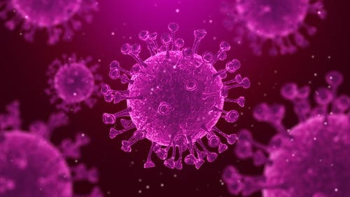 Animated Purple Virus Cells in Microscopic Medical Science Background Loop
