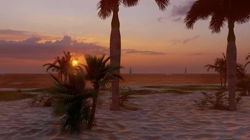 Calm Tropical Beach Sunset