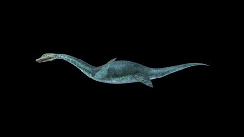 3D Animated Realistic Plesiosaur Dinosaur Swimming