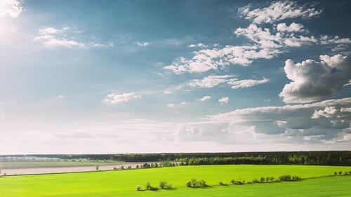Countryside Rural Field Landscape With Young Wheat Sprouts In Spring Summer Cloudy Day