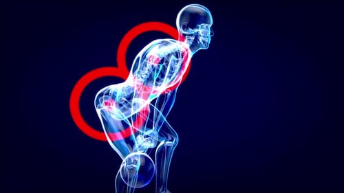 3D Human Body Anatomy with Kettlebell Exercise Highlights