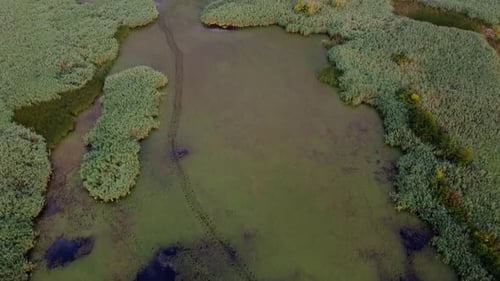 Delta With River And Vegetation Aerial View, Romania