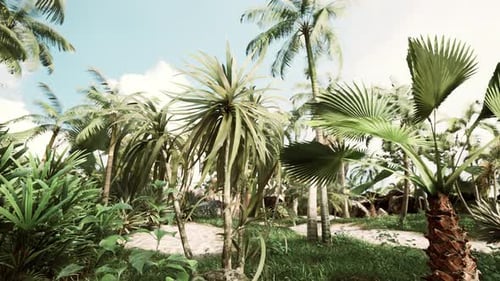 Lush Tropical Beach Landscape with Swaying Palm Trees