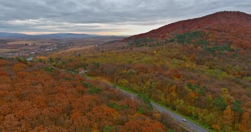 Aerial View of Asphalt Road in Car Moving in Road in Middle Forest