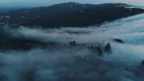 Low Fog Rolling on The Hills