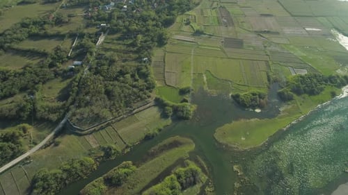 Landscape with Rice Terrace Field Philippines, Luzon
