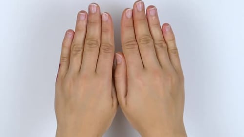 Painted Heart in Palms Against White Background