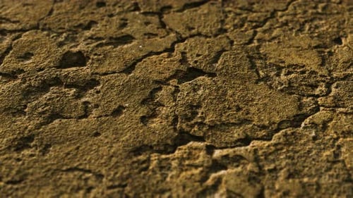 Closeup of Dirty Ground Road
