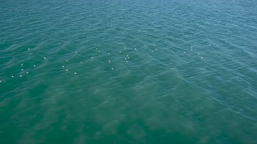 Aerial view of jetty in the sea in Greece.