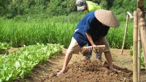 Farmers Tilling Soil in a Rural Agriculture Field
