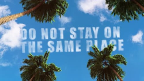 Palm Trees and Sky Travel Opener Title Animation