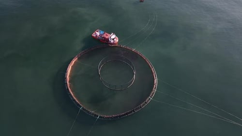 Salmon Pool