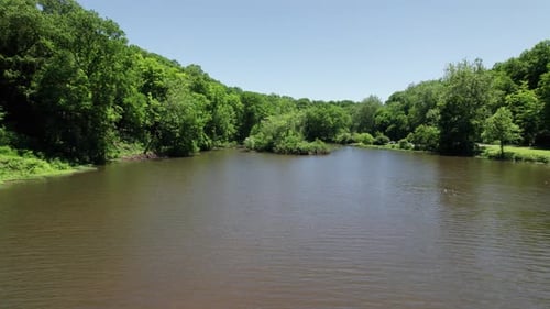Vista aérea del bosque verde en la frontera del río de aguas oscuras en un día soleado
