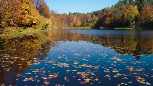 Bois de forêt d'automne coloré sur le lac
