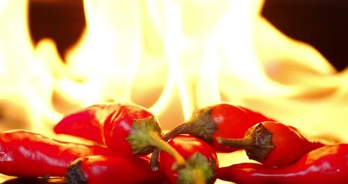 Red Chili Peppers Burning in a Flame of Fire