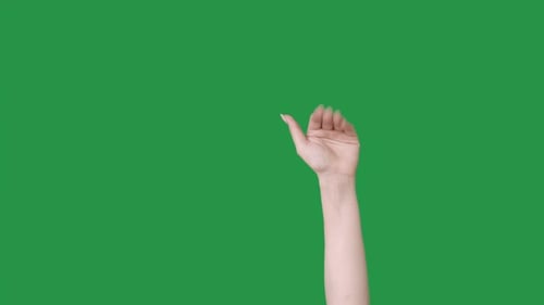 Arm and Hand Gesturing on Green Screen