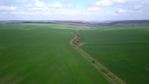 Aerial view of green agriculture field in summer or spring.