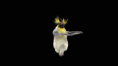 Penguin Dancing HD