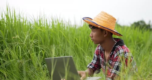Junge Landwirte nutzen Laptop für Recherchen über Reis auf dem Feld