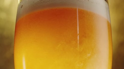 Beer Pouring into Glass, Close Up