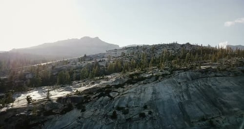 Drone Flying Over Amazing White Mountain Rocky Ridge Covered with Pine Forest at Sunny Yosemite