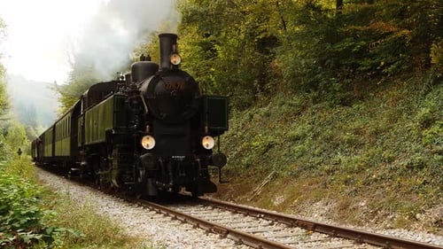 Steam Train Travel Through the Forest