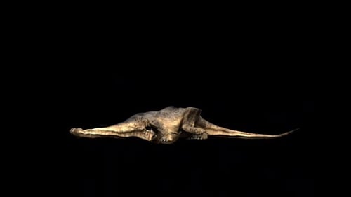 Bronto Die