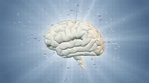 3D Human Brain Rotation with Data Connections Animation